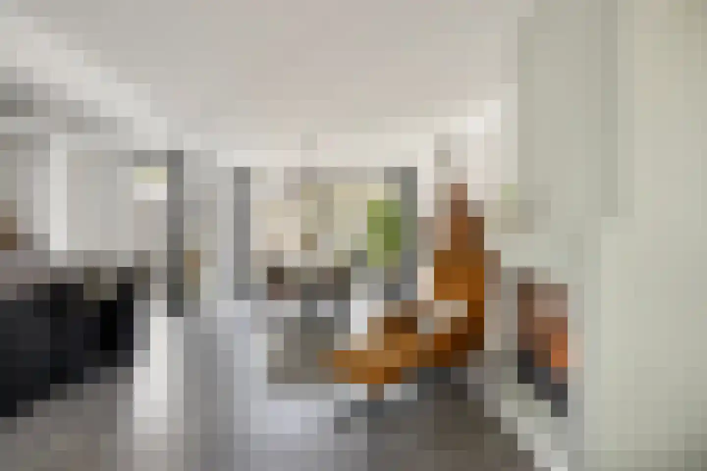 Sweerts de Landasstraat 6 Oirschot thumbnail 14