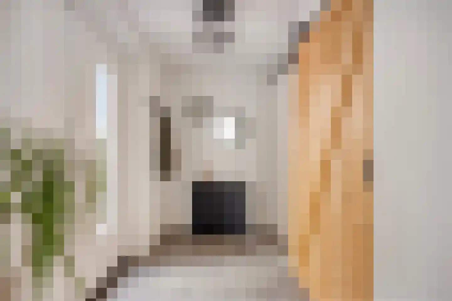 Sweerts de Landasstraat 6 Oirschot thumbnail 22