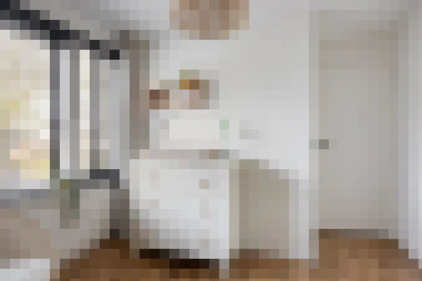 Sweerts de Landasstraat 6 Oirschot thumbnail 33