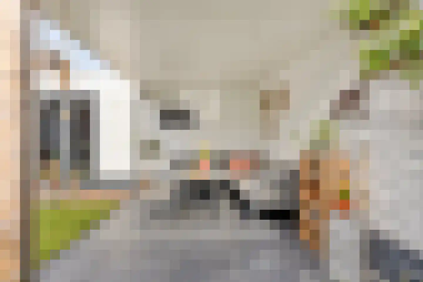 Sweerts de Landasstraat 6 Oirschot thumbnail 43