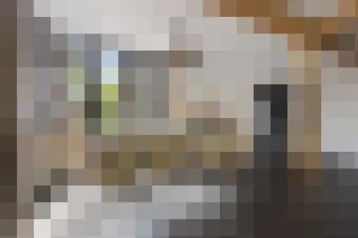 Sweijslaan 4 Barneveld thumbnail 10