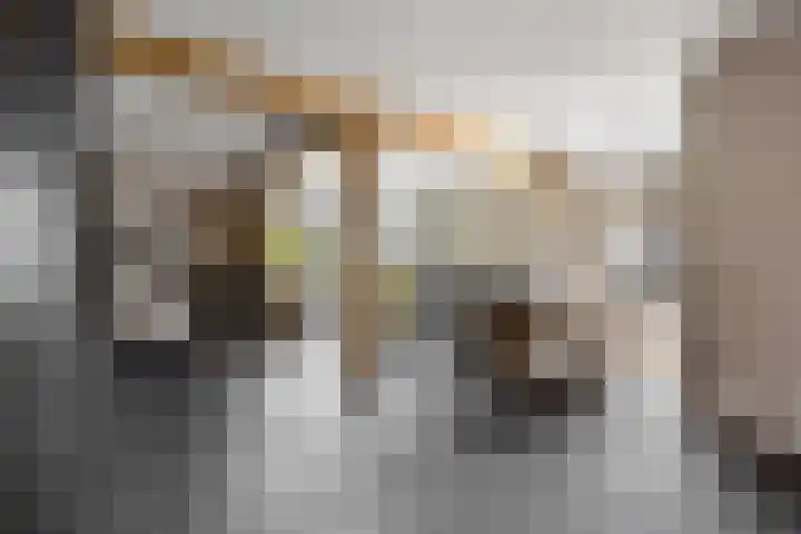 Sweijslaan 4 Barneveld thumbnail 11
