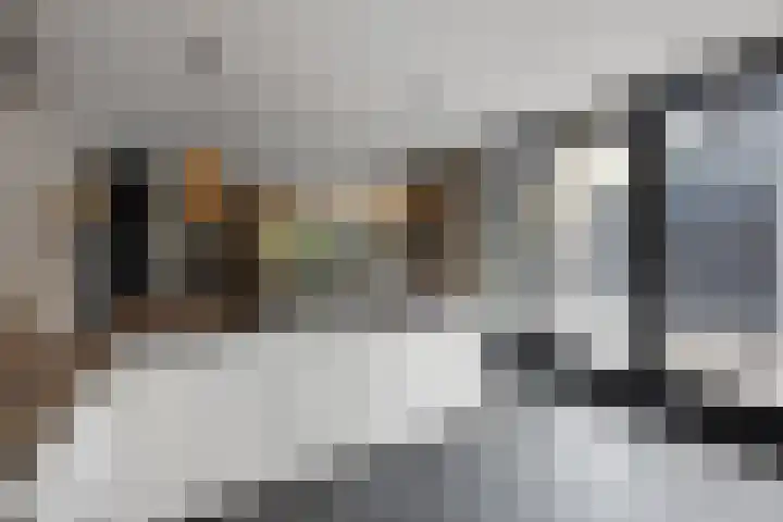 Sweijslaan 4 Barneveld thumbnail 16