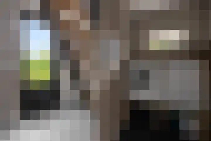 Sweijslaan 4 Barneveld thumbnail 17