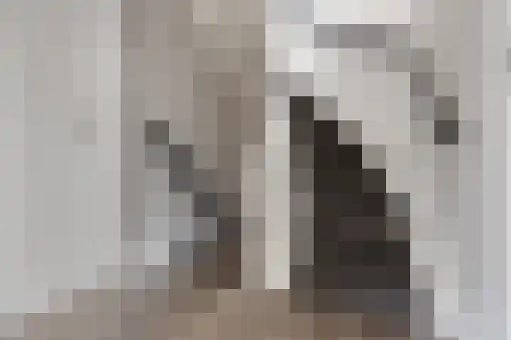 Sweijslaan 4 Barneveld thumbnail 22