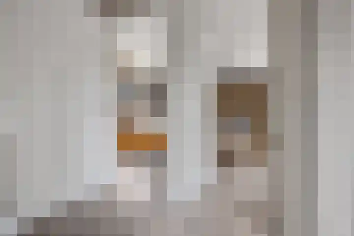 Sweijslaan 4 Barneveld thumbnail 23