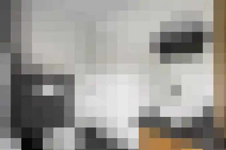 Sweijslaan 4 Barneveld thumbnail 30