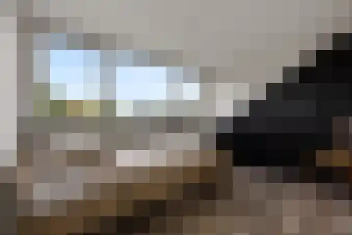 Sweijslaan 4 Barneveld thumbnail 33