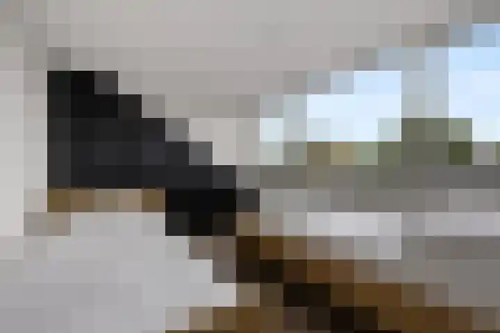 Sweijslaan 4 Barneveld thumbnail 34