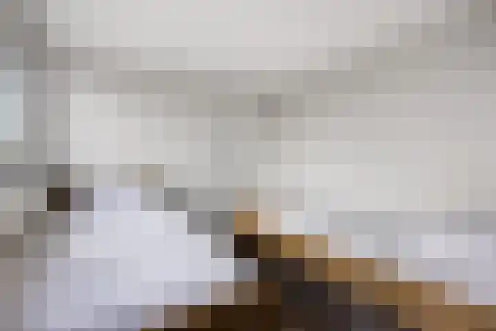 Sweijslaan 4 Barneveld thumbnail 35