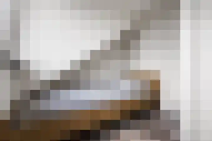 Sweijslaan 4 Barneveld thumbnail 37