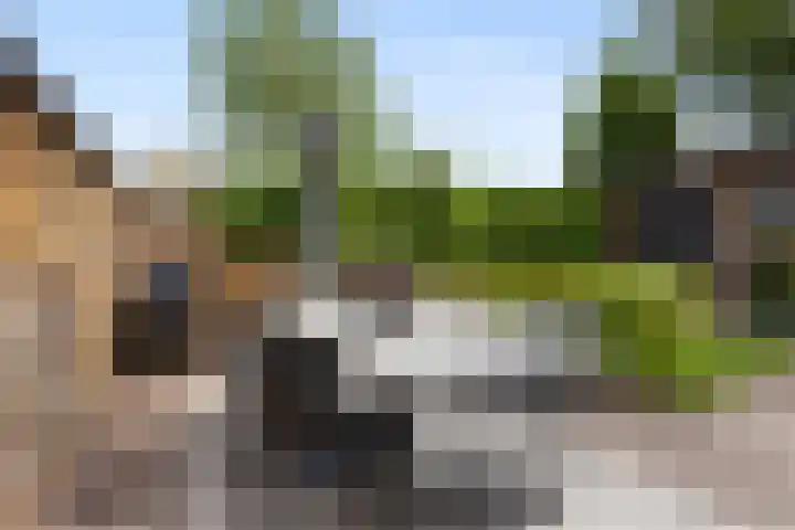 Sweijslaan 4 Barneveld thumbnail 40
