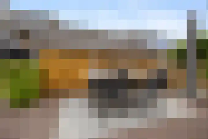 Sweijslaan 4 Barneveld thumbnail 41