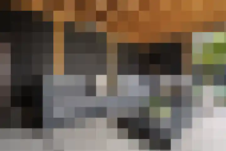 Sweijslaan 4 Barneveld thumbnail 45