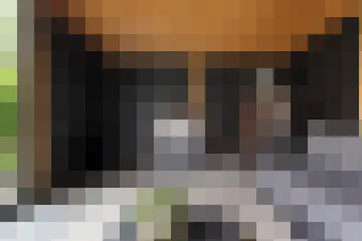 Sweijslaan 4 Barneveld thumbnail 46