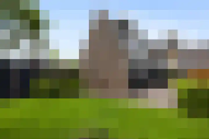 Sweijslaan 4 Barneveld thumbnail 48