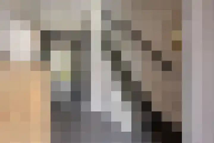 Sweijslaan 4 Barneveld thumbnail 5