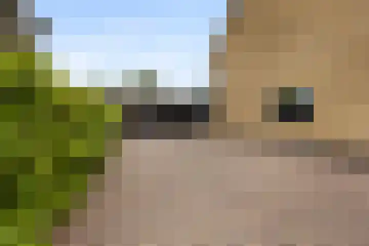 Sweijslaan 4 Barneveld thumbnail 51