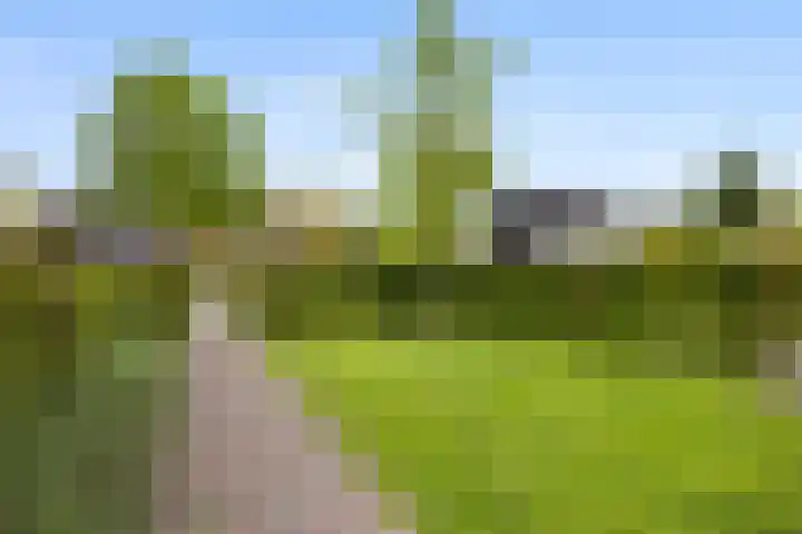 Sweijslaan 4 Barneveld thumbnail 52