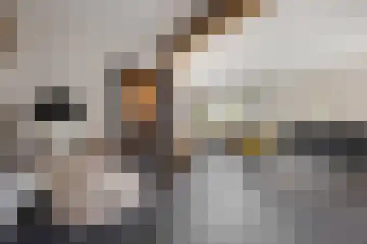 Sweijslaan 4 Barneveld thumbnail 7