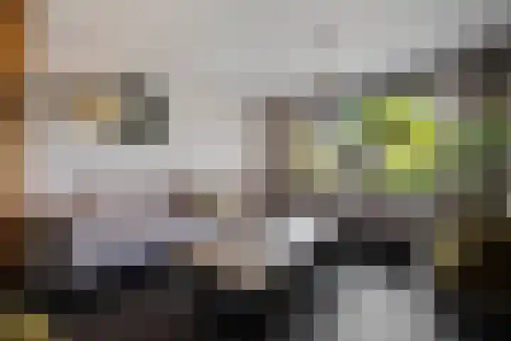 Sweijslaan 4 Barneveld thumbnail 8