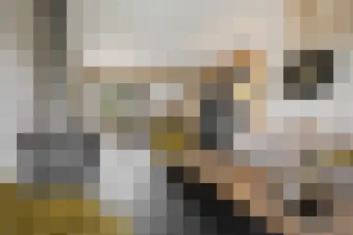 Sweijslaan 4 Barneveld thumbnail 9