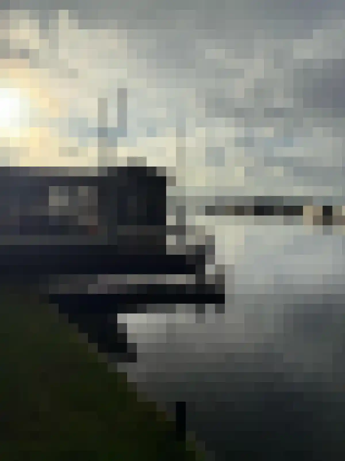 Sweilandpolder 16 l Warmond thumbnail 29