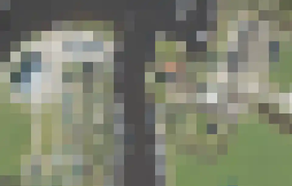 Sweilandpolder 16 l Warmond thumbnail 9
