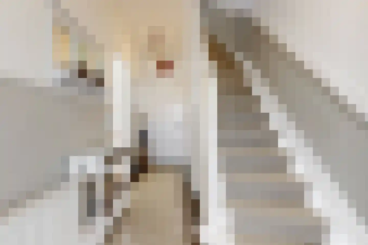 Sweilandstraat 43 Warmond thumbnail 10