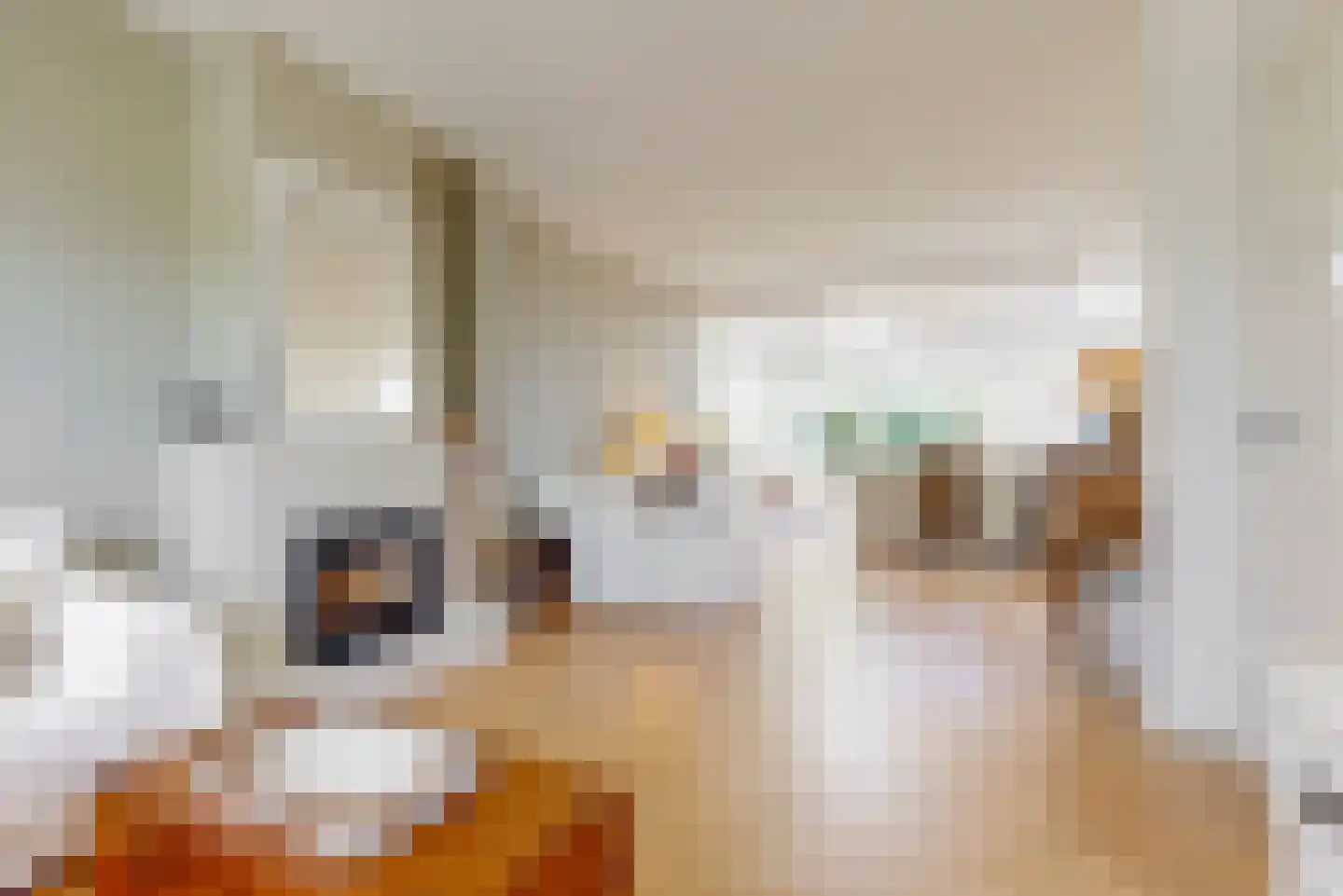 Sweilandstraat 43 Warmond thumbnail 13