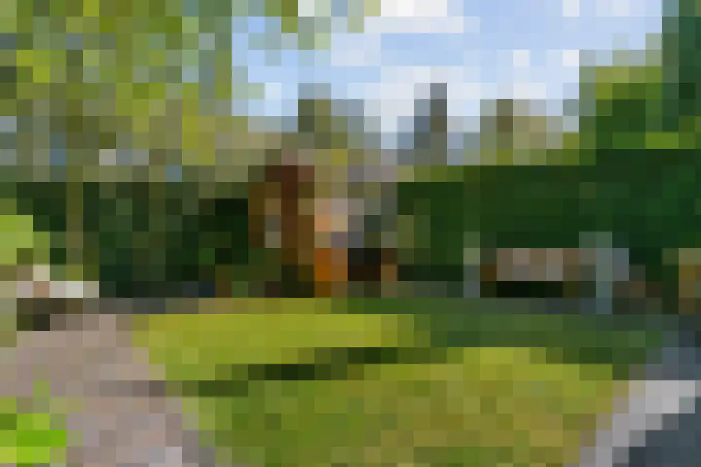 Sweilandstraat 43 Warmond thumbnail 40