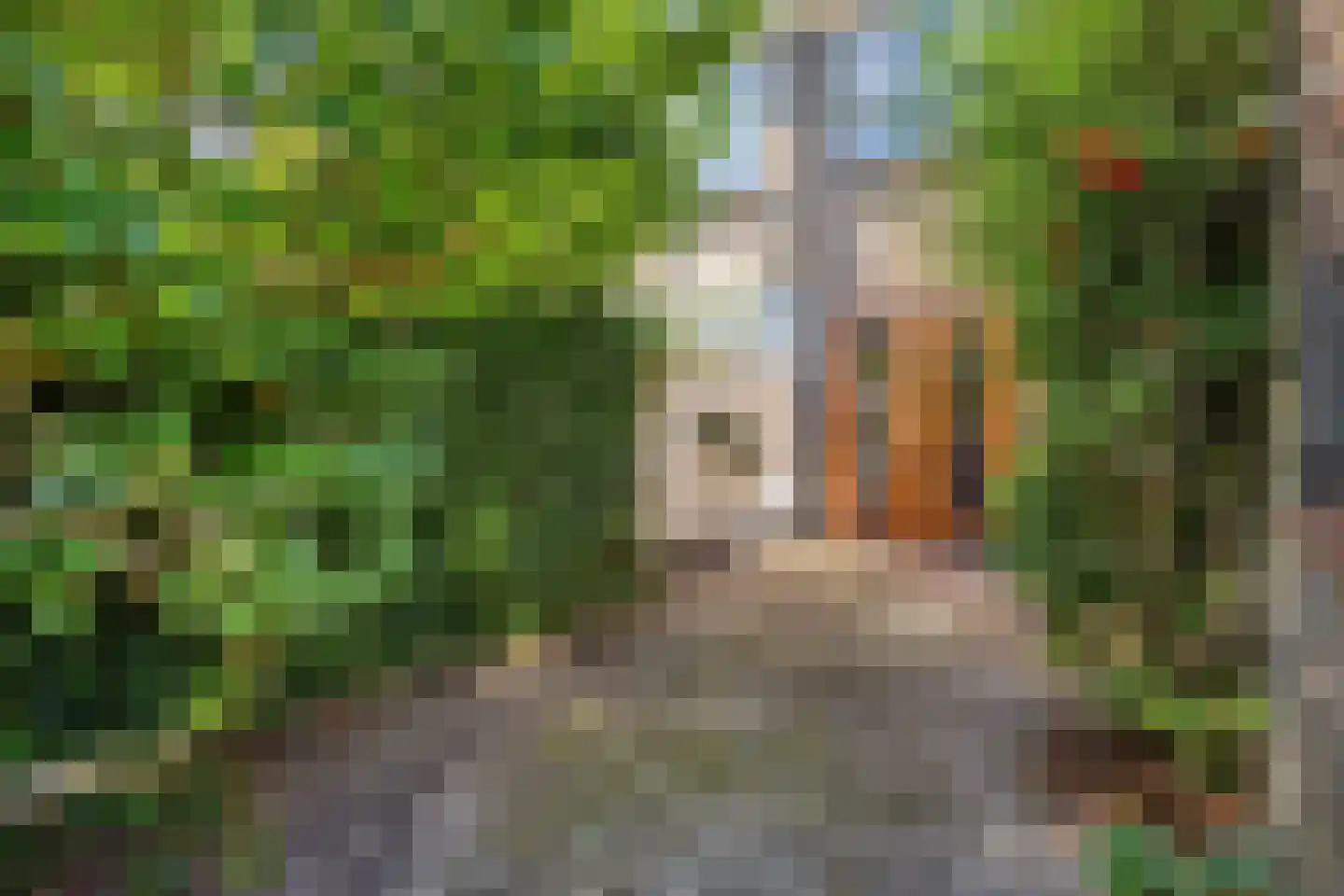 Sweilandstraat 67 Warmond thumbnail 31