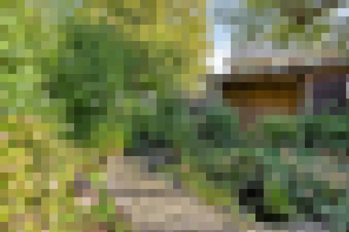 Sweilandstraat 67 Warmond thumbnail 34