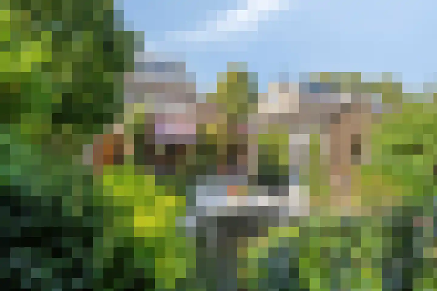 Sweilandstraat 67 Warmond thumbnail 35