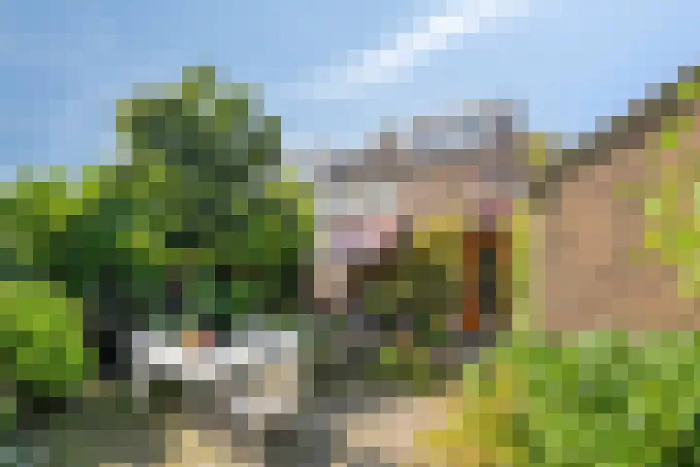 Sweilandstraat 67 Warmond thumbnail 36