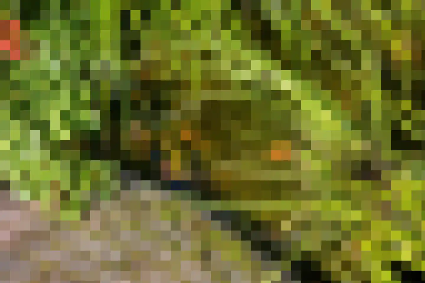 Sweilandstraat 67 Warmond thumbnail 38