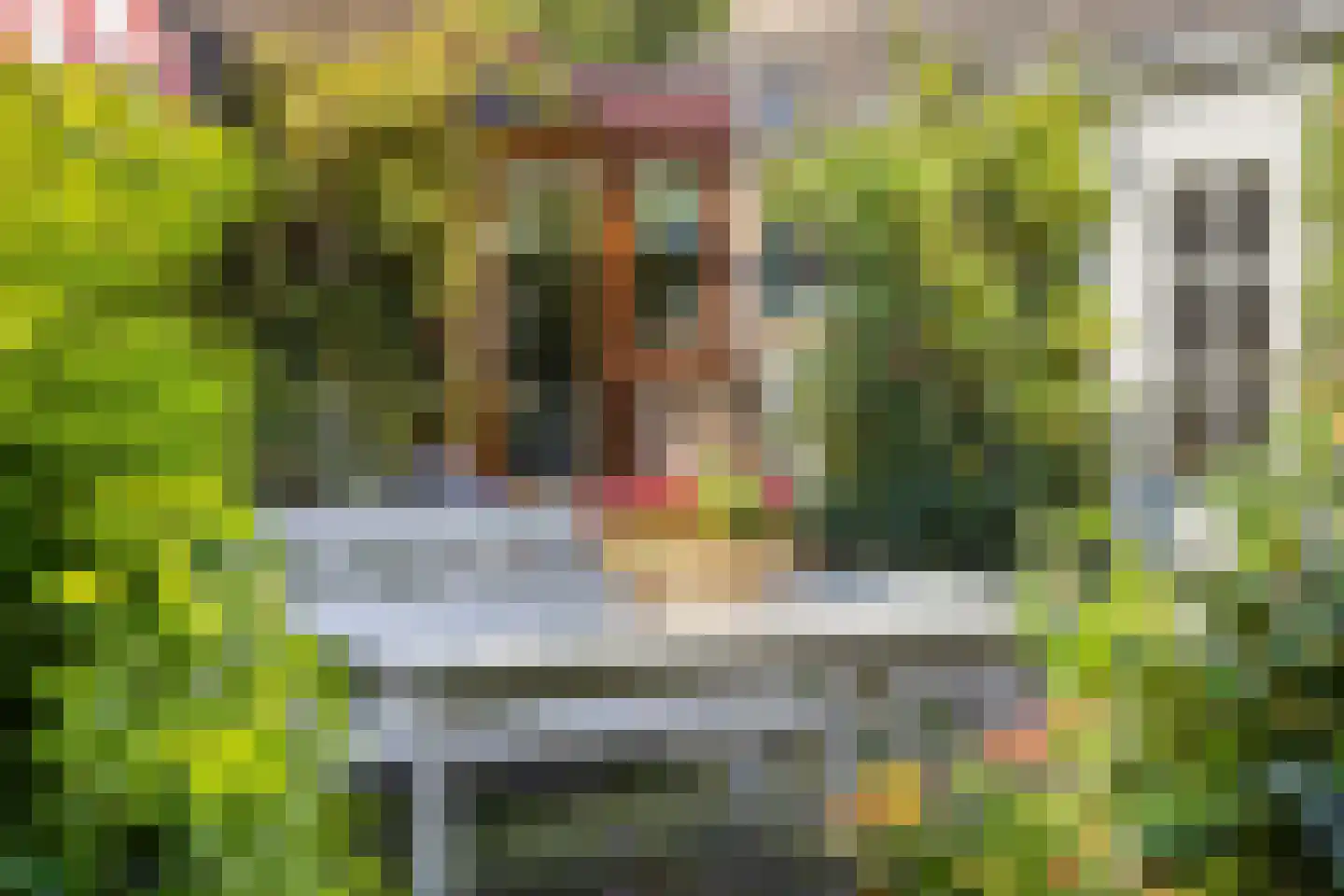 Sweilandstraat 67 Warmond thumbnail 41
