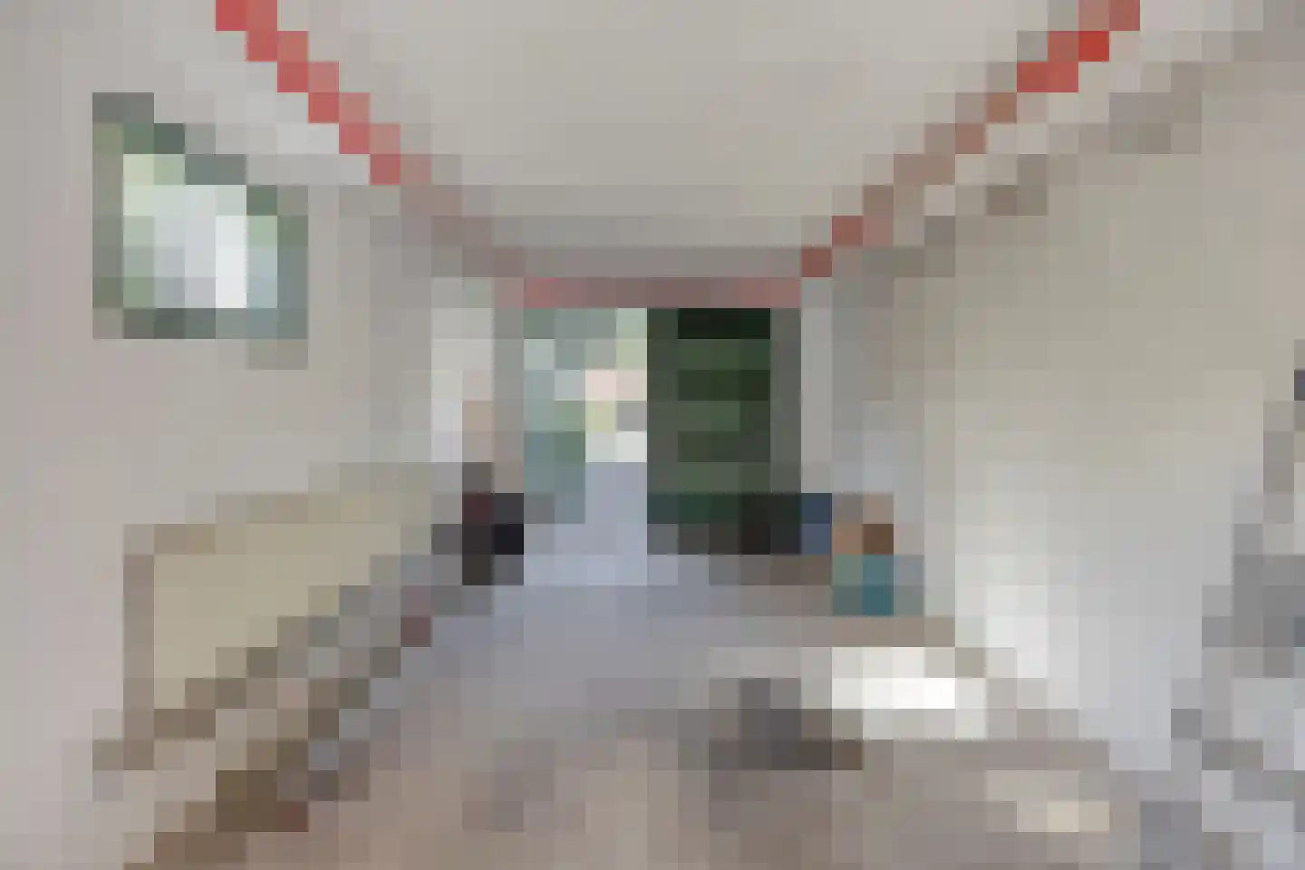 Sweilandstraat 67 Warmond thumbnail 45