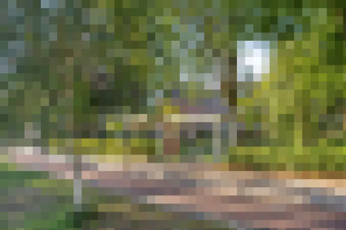 Sweilandstraat 67 Warmond thumbnail 48
