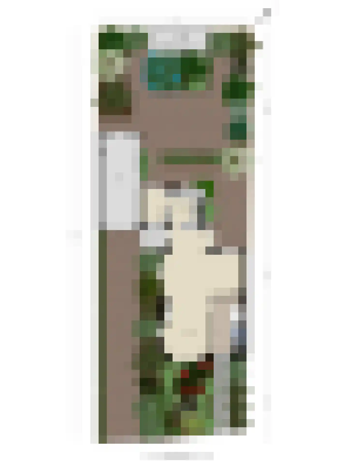 Sweilandstraat 67 Warmond thumbnail 50
