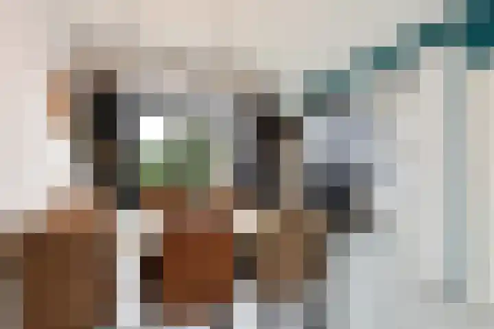 Swemcoperlaan 15 Berkel en Rodenrijs thumbnail 10