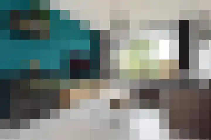 Swemcoperlaan 15 Berkel en Rodenrijs thumbnail 11