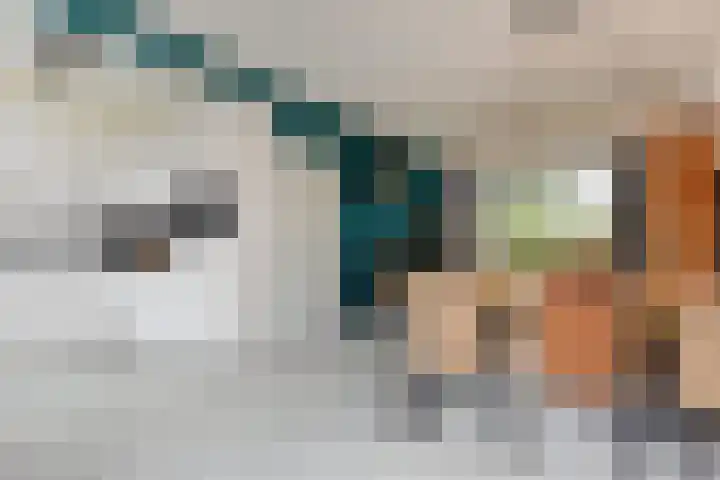 Swemcoperlaan 15 Berkel en Rodenrijs thumbnail 13