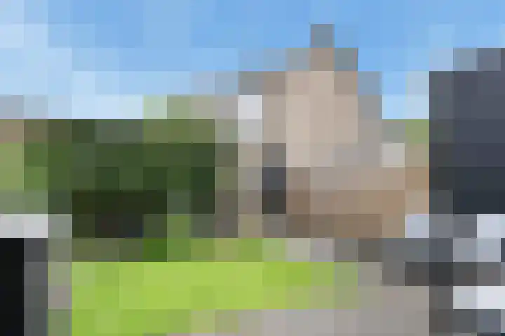 Swemcoperlaan 15 Berkel en Rodenrijs thumbnail 17