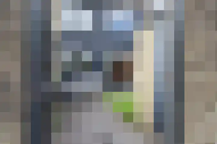 Swemcoperlaan 15 Berkel en Rodenrijs thumbnail 19