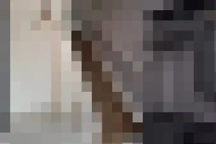 Swemcoperlaan 15 Berkel en Rodenrijs thumbnail 22