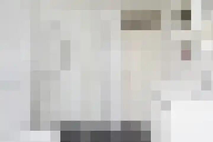 Swemcoperlaan 15 Berkel en Rodenrijs thumbnail 24