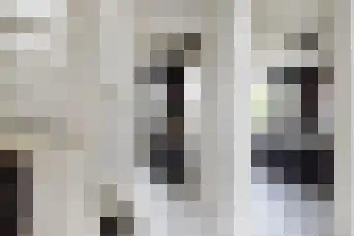 Swemcoperlaan 15 Berkel en Rodenrijs thumbnail 25