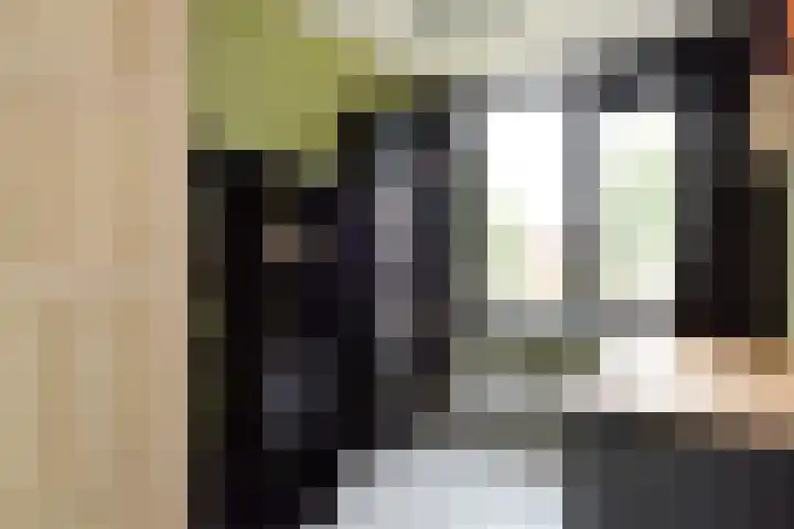 Swemcoperlaan 15 Berkel en Rodenrijs thumbnail 26