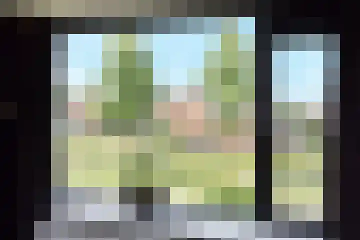 Swemcoperlaan 15 Berkel en Rodenrijs thumbnail 27